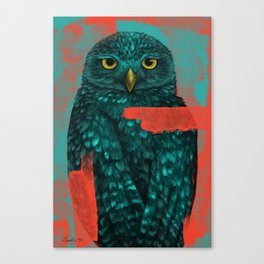 Owl you need Canvas Print