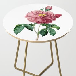 Vintage Gallic Rose Botanical Illustration on Pure White Side Table