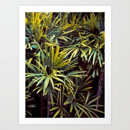 Neon Jungle - Tropical Nature Photography Art Print