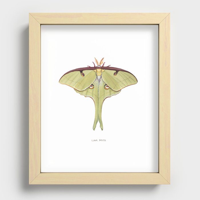 Recessed Framed Print