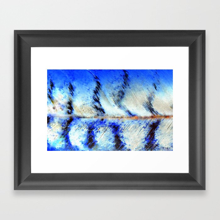 Feathers in Flight  Framed Art Print