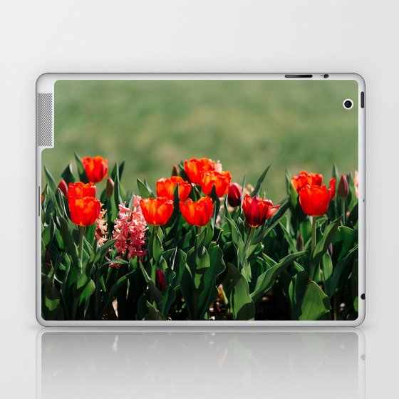 Red Tulips Laptop & iPad Skin
