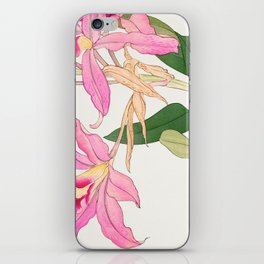 Vintage laelia flower iPhone Skin