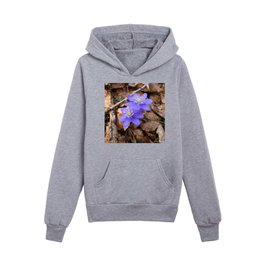 Autumn and Spring Meet Kids Pullover Hoodies