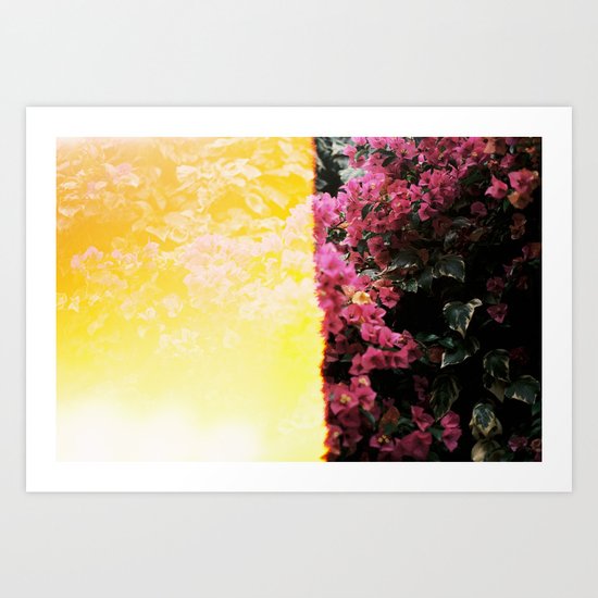 Oops Art Print