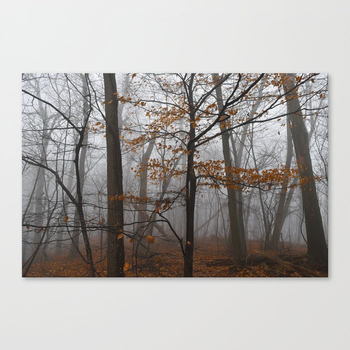 Fall Hanging On Canvas Print