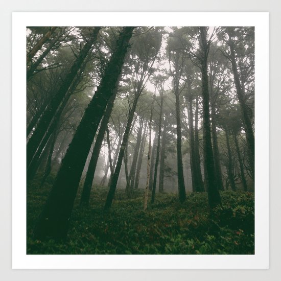 Looking Up Into The Fog Art Print