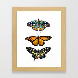 Butterflies Collection Framed Art Print