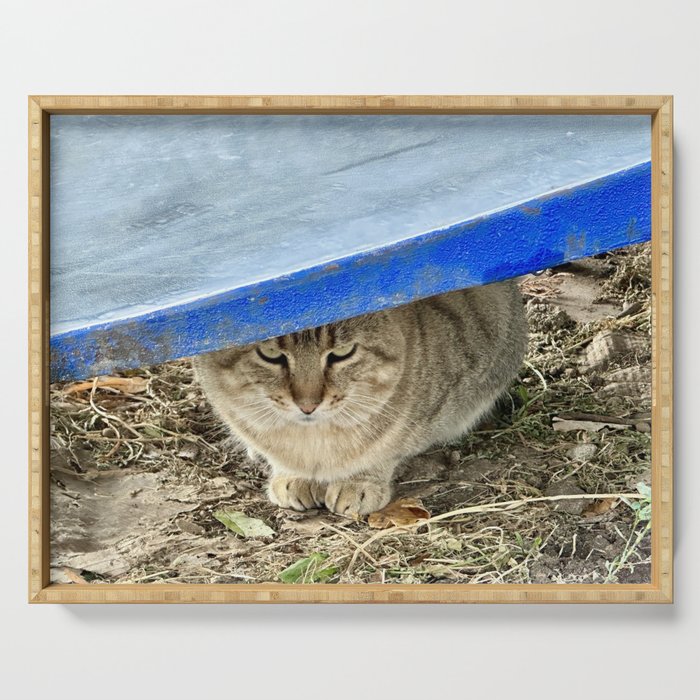 Pussycat Serving Tray