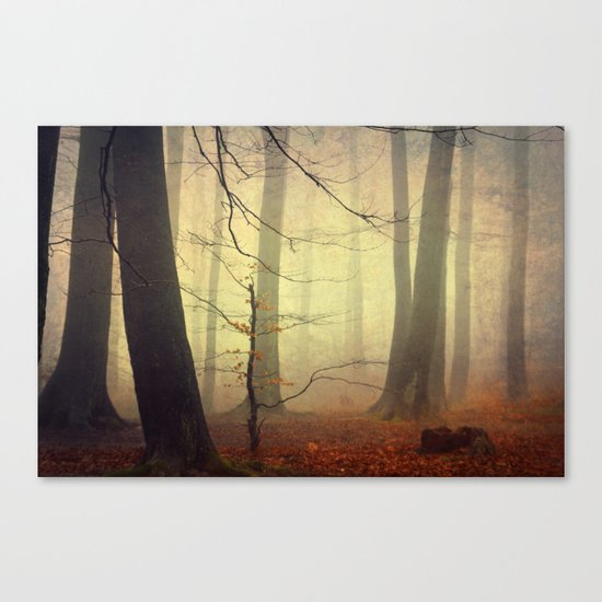 Forest Glow Canvas Print