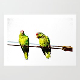Parrot Friends Art Print