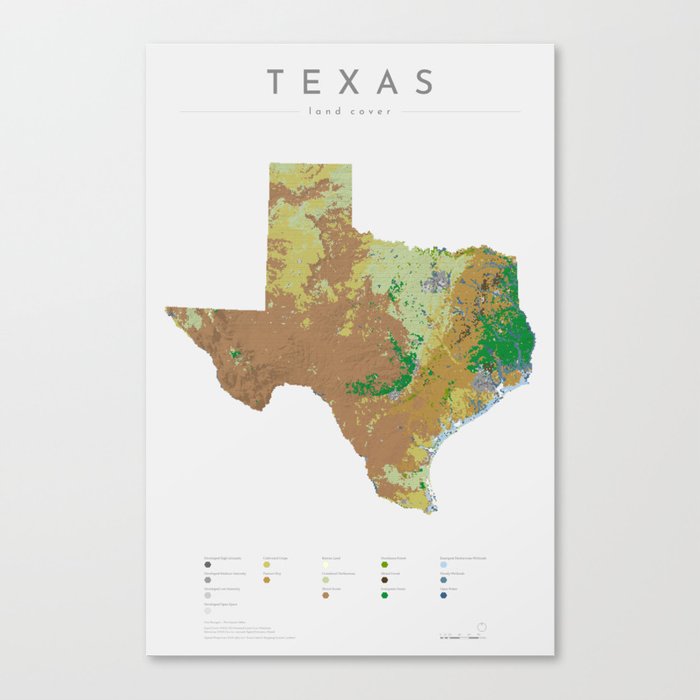 Texas Land Cover Map Art Canvas Print