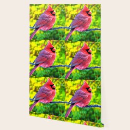 Cardinal Bird Wallpaper For Any Decor Style Society6 Find the best free stock images about cardinal female. society6