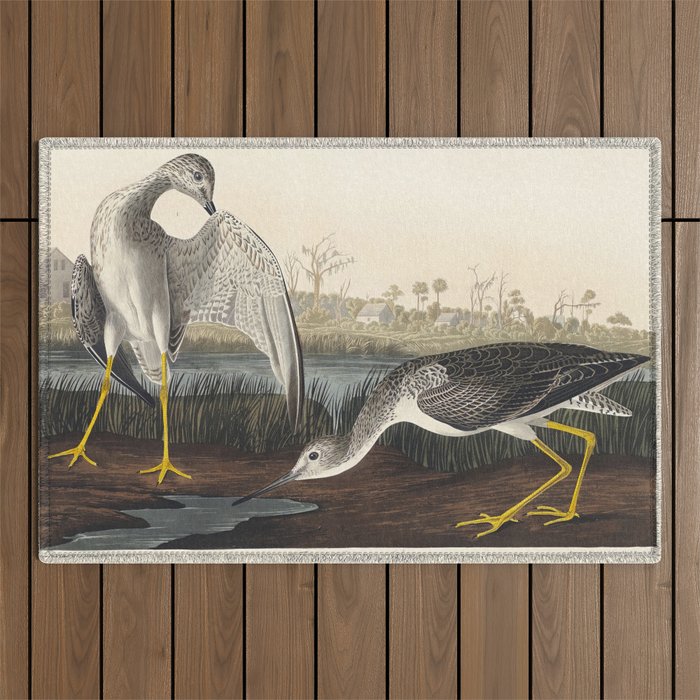 Tell-tale Godwit or Snipe from Birds of America (1827) by John James Audubon  Outdoor Rug