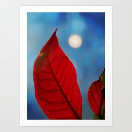 Moonlight Art Print