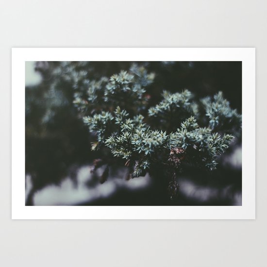 Pine Art Print