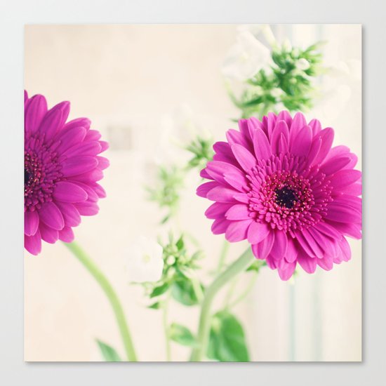 Gerberas and Phlox Canvas Print