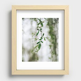 Hanging Vine - Descanso Gardens Recessed Framed Print