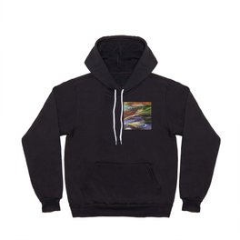 Colors in the Wind Hoody