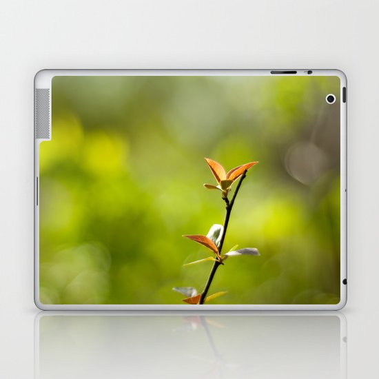 Spring Begins Laptop & iPad Skin