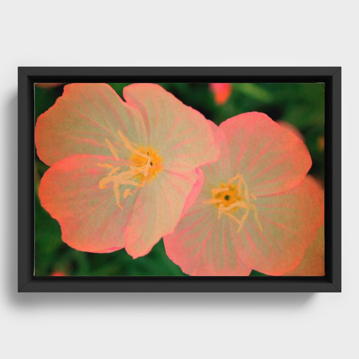 Tangerine Flowers | Nadia Bonello  Framed Canvas