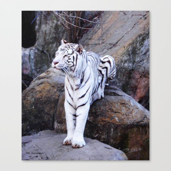 The Queen On Her Throne Canvas Print