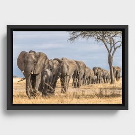 Elephants on Parade Framed Canvas