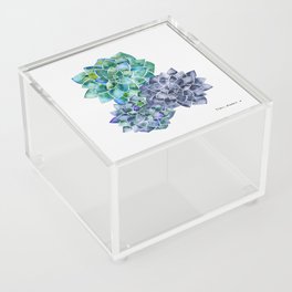 Succulent and Sweet Acrylic Box