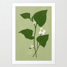 Diep Ca - Vietnamese Fish Mint // Sage Art Print