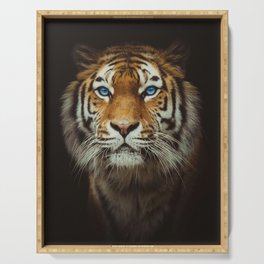 Wild Tiger with Blue eyes Serving Tray