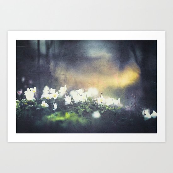 Rugged beauty Art Print