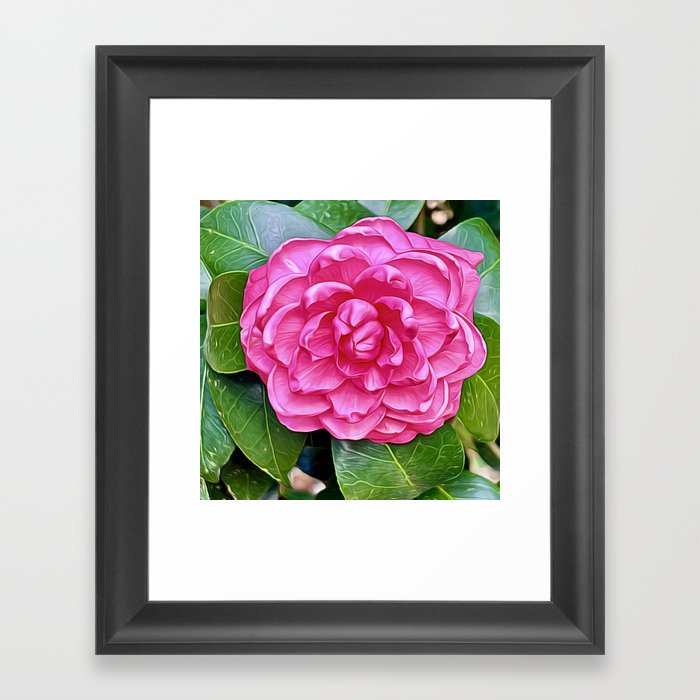 The Magenta Blooming Flower Framed Art Print