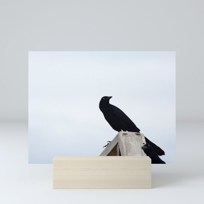 Bird collection _03 Mini Art Print