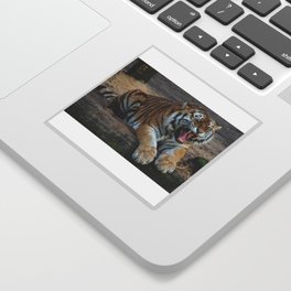 Portrait of a tiger in the nature Sticker