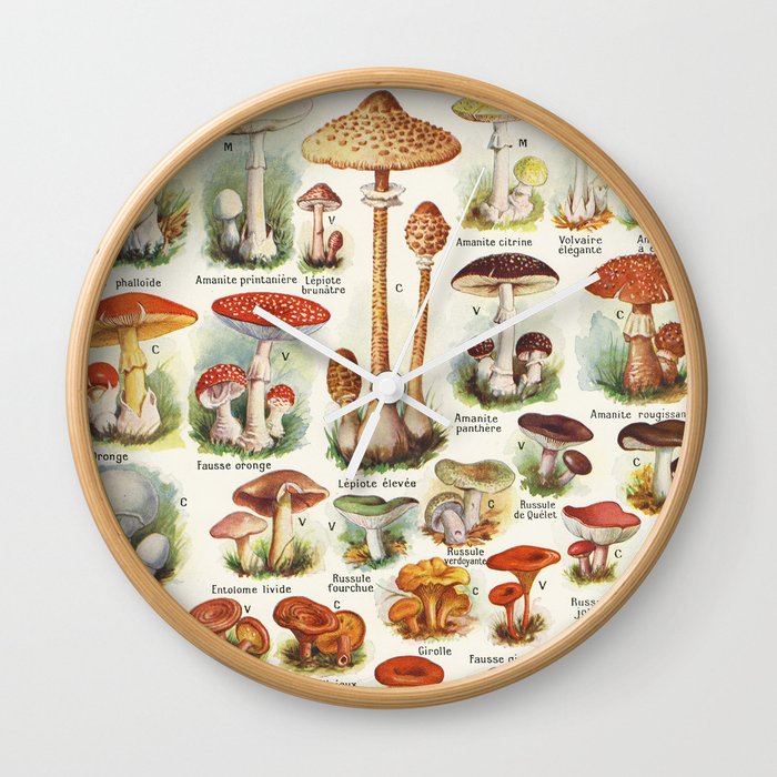 Mushroom illustration Larousse - French vintage poster Wall Clock