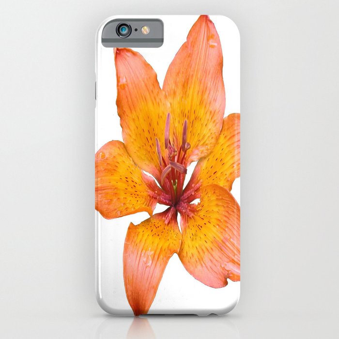 Coral Colored Lily Isolated on White iPhone Case