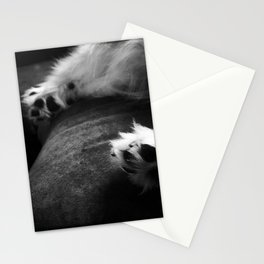 Toe Beans - American Eskimo Dog Stationery Cards