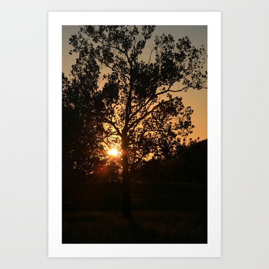 1776 - 4 Art Print
