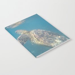 Hawksbill Sea Turtle in the Galapagos Notebook