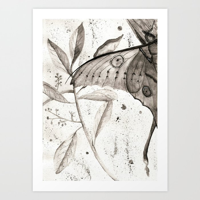 Madagascar Moon Moth Watercolor Art Print By Rualith's Bestiary | Society6