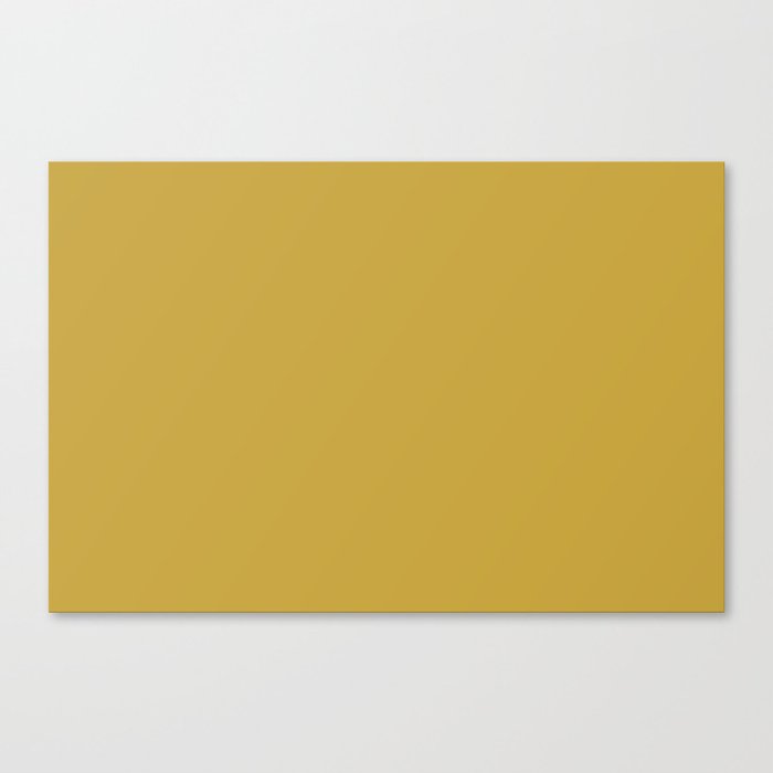 Mid-tone Brown Solid Color Hue Shade - Patternless 3 Canvas Print