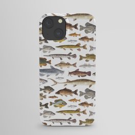 Southeast Freshwater Fish iPhone Case