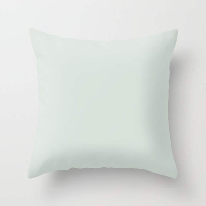 Mellow Mint Single Solid Color Accent Shade Hue Matches Sherwin