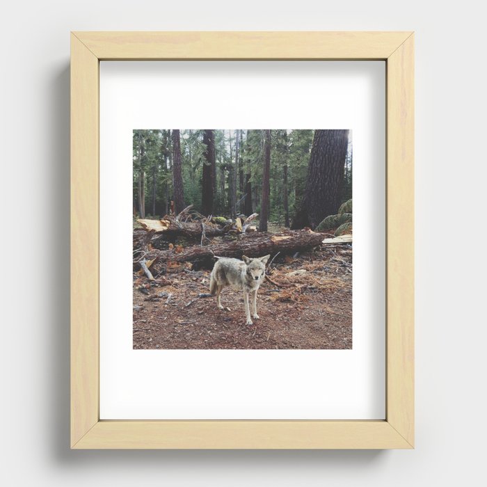 Recessed Framed Print