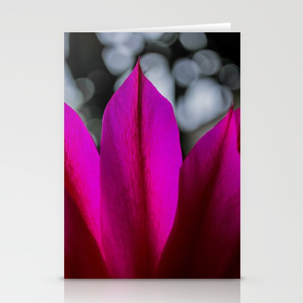 Pitaya Flower Stationery Cards