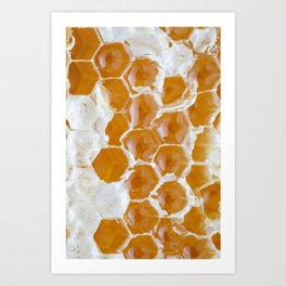 Close-up of golden honeycomb l Food photography Art Print