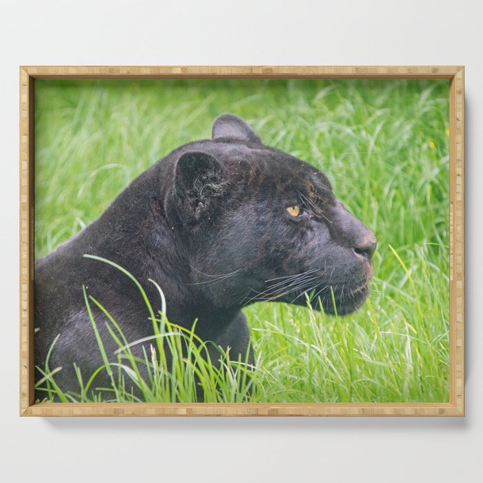 BLACK JAGUAR IN THE GRASS Serving Tray