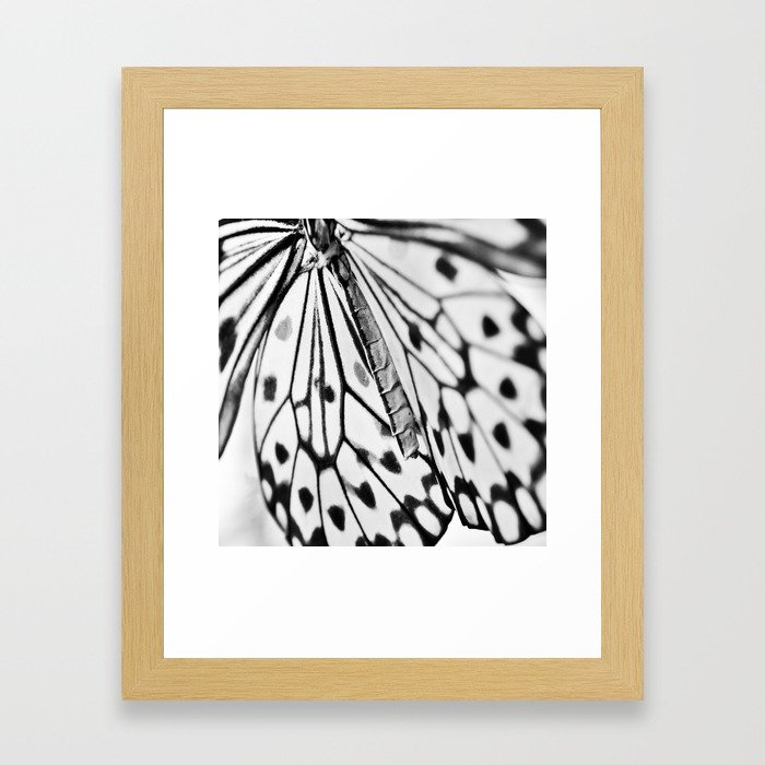 Butterfly Wings Framed Art Print