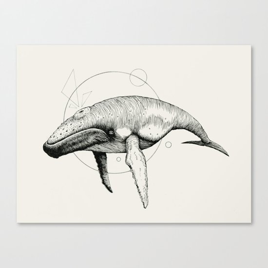 'Wildlife Analysis VII' Canvas Print
