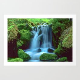 Waterfall in the forest Art Print